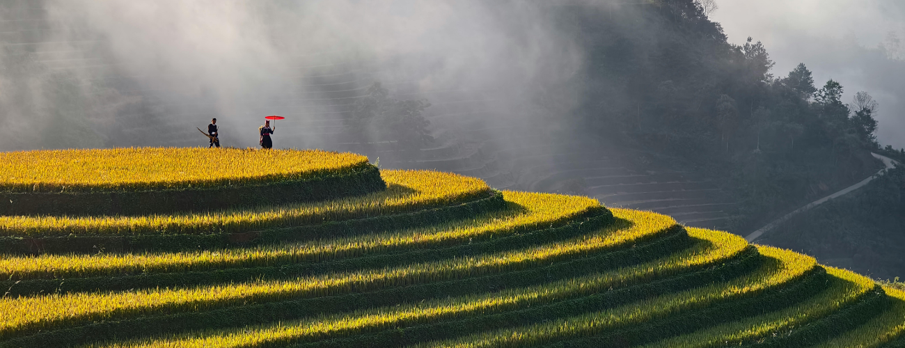 Blog Why Traditional Due Diligence Fails In Southeast Asia, And What To Do Instead